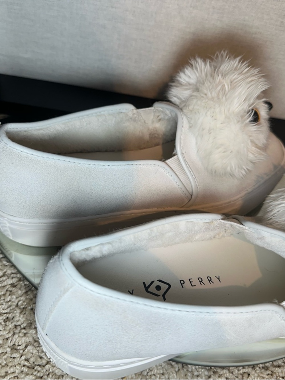 Katy Perry Owl Slip-On S suede Sneakers 7.5 white novelty - Picture 9 of 12